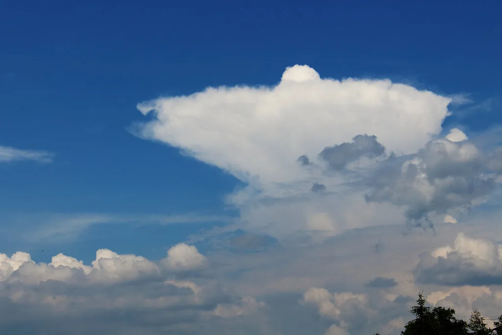A cumulonimbus cloud with its characteristic anvil beginning to spread downwind